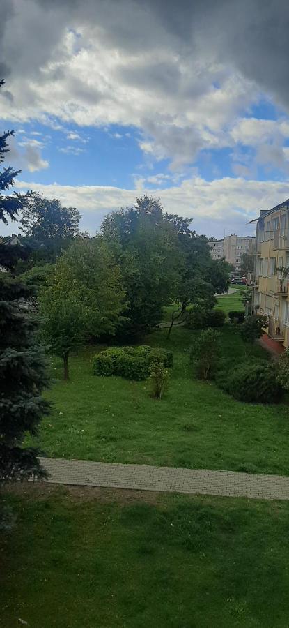 דירות פילה Flowers Apartament מראה חיצוני תמונה